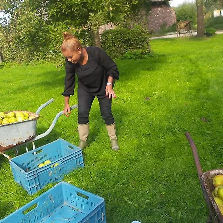Theaterboerderij Op 't Hogt Camping